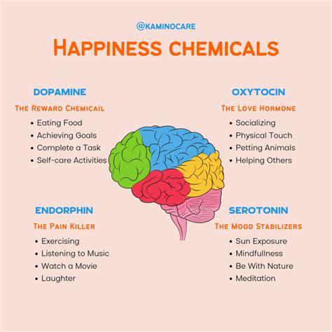 feel good chemical in brain